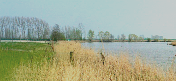 Krekentocht op zaterdag 1 mei 2027 vanuit De Meet te Bentille.