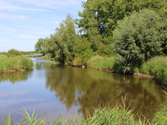 Donderdag 5 augustus 2027 – Bladelintocht te Middelburg, gemeente Maldegem.