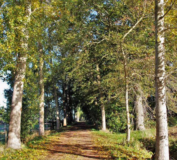 Wandelen Maldegem 2027
