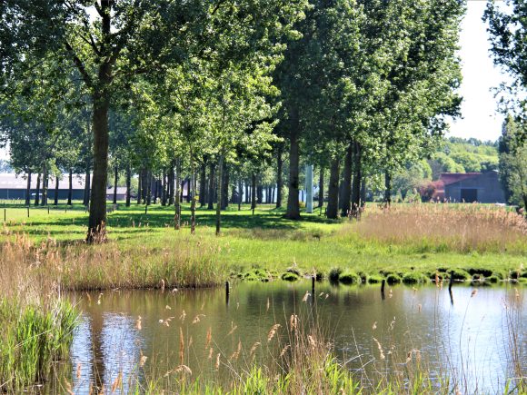 Grenstocht  is op 21 maart 2027  vanuit de Parochiezaal, Dorpsstraat 61 te St.Laureins.