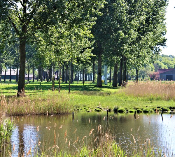 Grenstocht